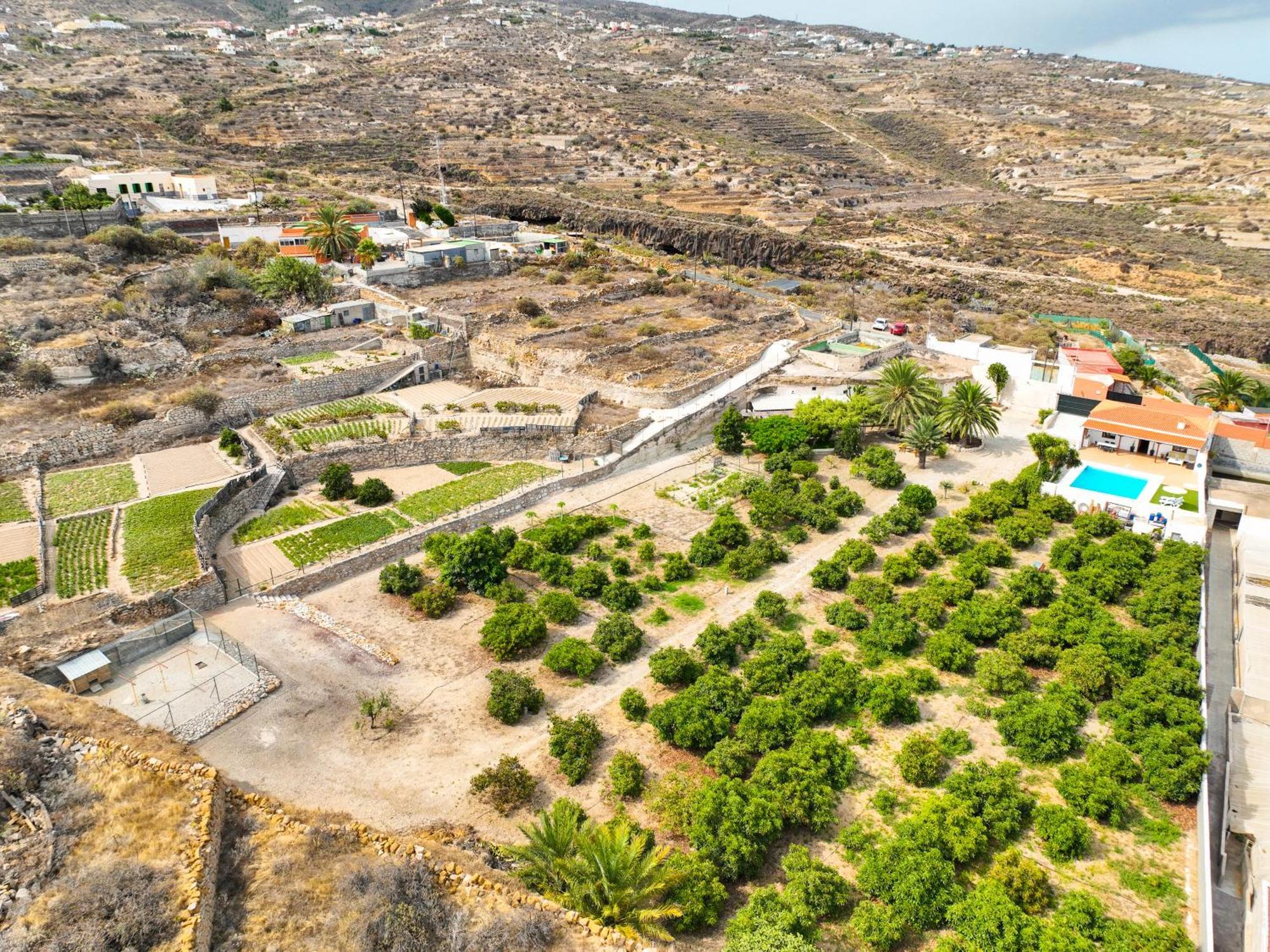 GüimarPrivate House With Pool & Garden别墅 外观 照片